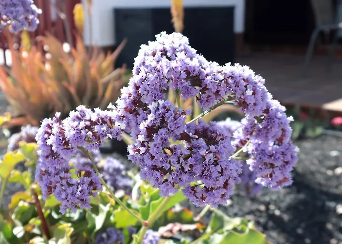 아파트 Sun 33 칼레타데푸스테