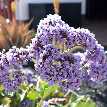 Lägenhet Sun 33 Caleta De Fuste